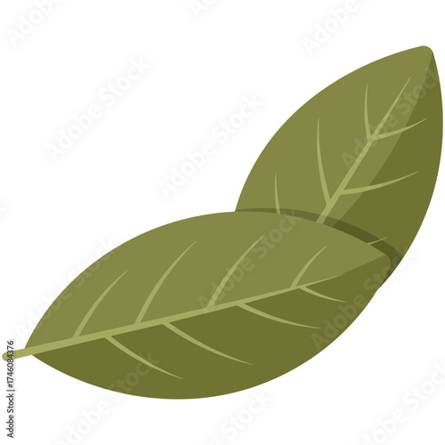 Flat Design Bay Leaves Icon