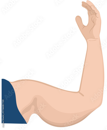 Woman Arm Lift with Arm Fat Illustration Isolated on White Background