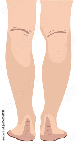 Men Leg From Back Illustration Isolated on White Background