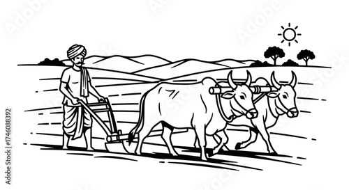 An illustration of a palm tree plantation, with many trees in rows and coconuts scattered on the ground.