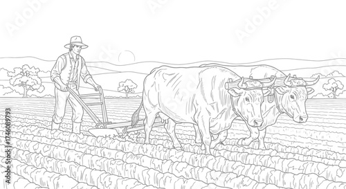 A farmer guides oxen pulling a plow across a cultivated field.