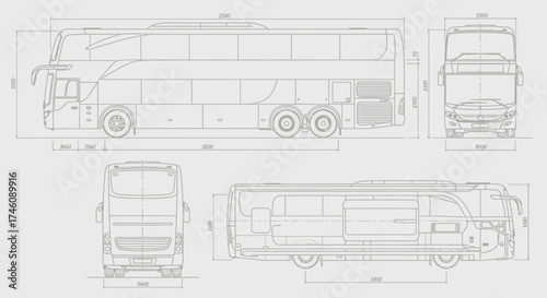 An illustration of a palm tree plantation, with many trees in rows and coconuts scattered on the ground.