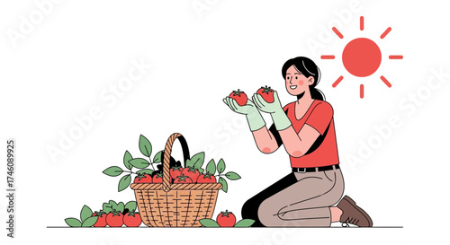 Illustration of a woman harvesting tomatoes in a garden on a sunny day