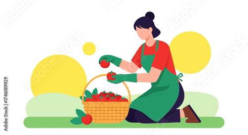 Illustration of a woman harvesting tomatoes, demonstrating the concept of gardening