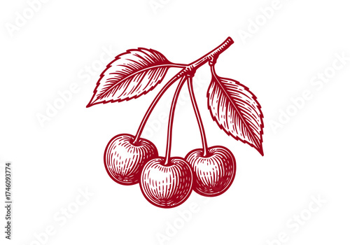 Cherry hand drawn simple engraved vector illustration