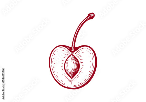Cherry hand drawn simple engraved vector illustration