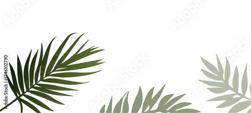 green grass border