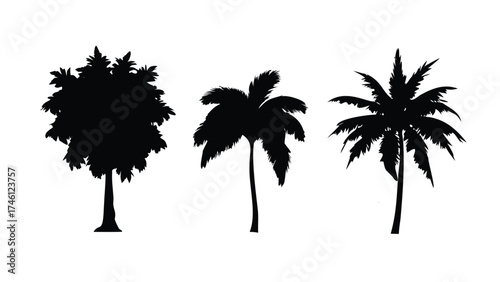 olid Black Silhouette Vector Set of Tropical Trees: Coconut, Banana, Mango