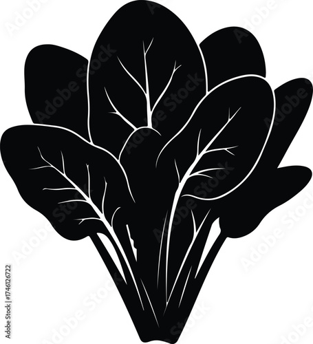 Illustrator Vector Fresh organic spinach bunch healthy vegetable silhouette