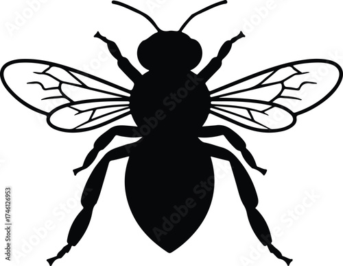 Illustrator Vector Honeybee with wings in black and white silhouette