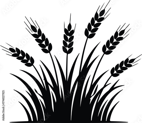 Illustrator Vector Ripe wheat ears and grass black silhouette