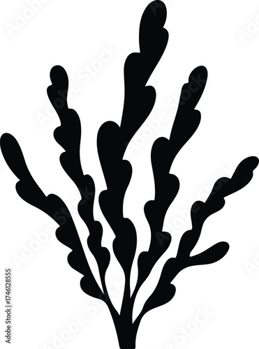 Illustrator Vector Simple seaweed underwater plant isolated black silhouette