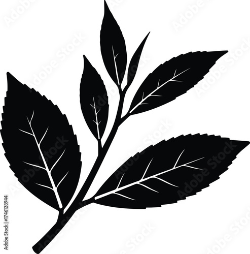 Illustrator Vector Tea plant leaves isolated botanical illustration silhouette