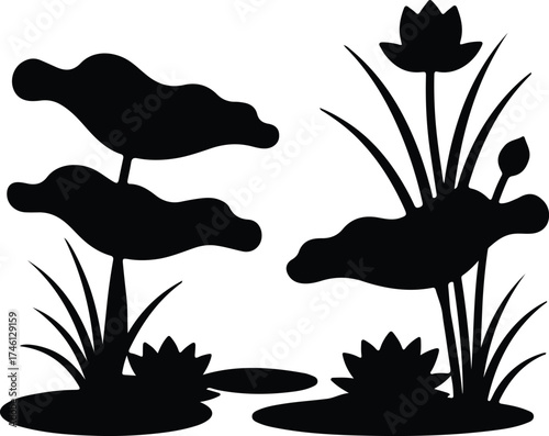 Illustrator Vector Water lilies and lotus plants monochrome silhouette