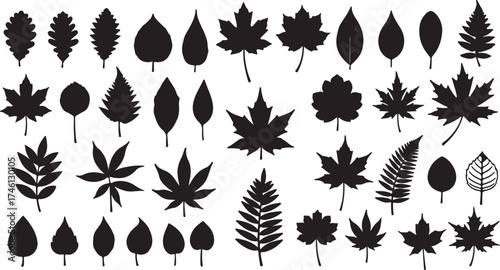 Numerous black leaf silhouettes showcase diverse botanical shapes against a plain white background, creating a simple composition