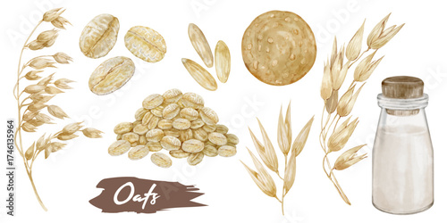 Vector of oatmeal and oat-based food in watercolor style.