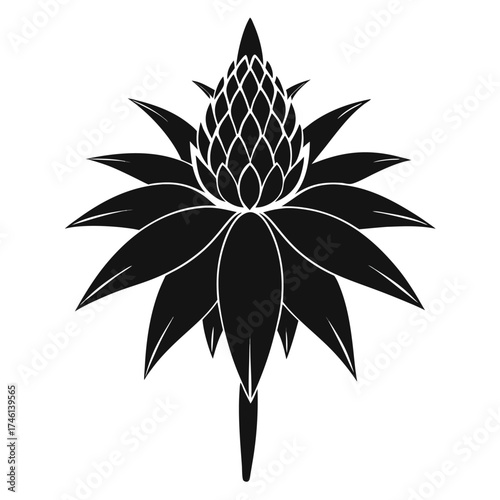 coneflower flower silhouette ion white background