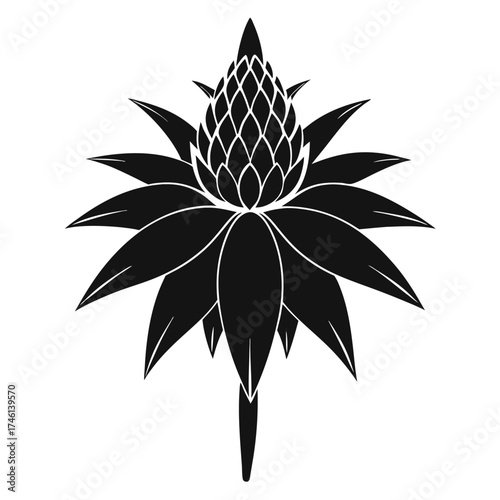 coneflower silhouette ion white background, black and white flower