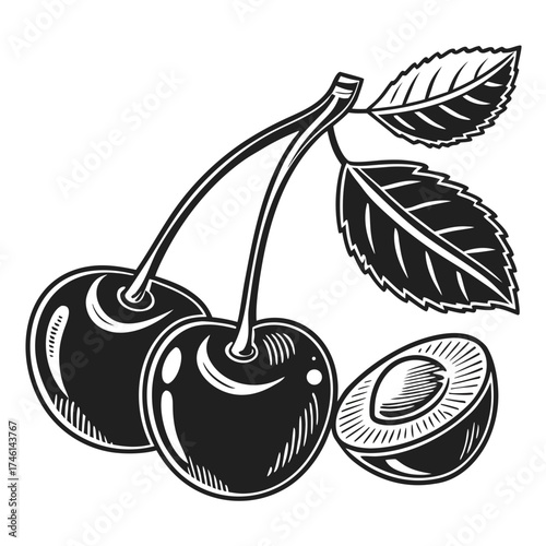 Stylized black and white cherries with leaves and a half cherry