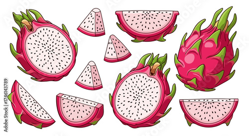 Dragon fruit illustration featuring whole, halved, and sliced pitaya pieces, showcasing the fruit's vibrant colors and unique texture.