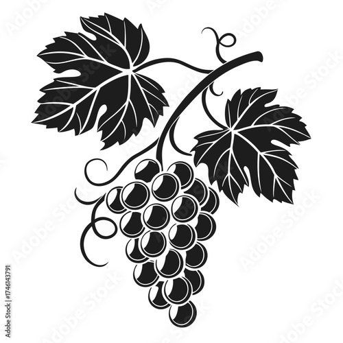 Stylized dark grapes with leaves and tendrils