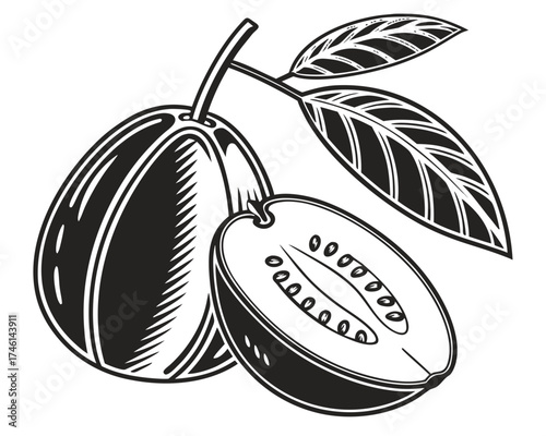 Stylized illustration of a whole and halved feijoa fruit with leaves