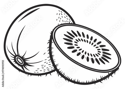 Stylized black and white kiwi fruit illustration