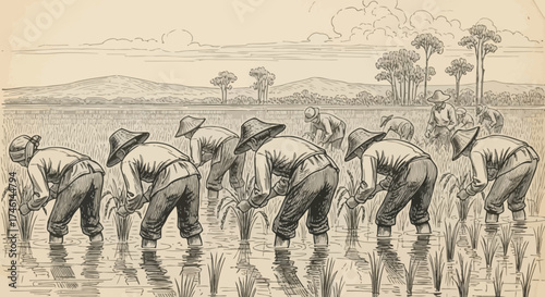 A group of farmers wearing conical hats are planting rice seedlings in a flooded field.