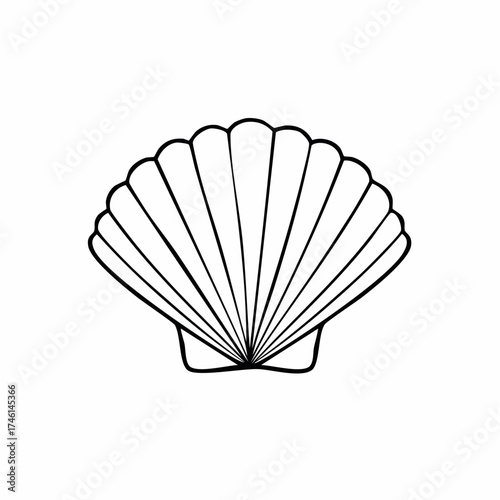 Elegant monochrome shell illustration showcasing smooth curves and fine lines