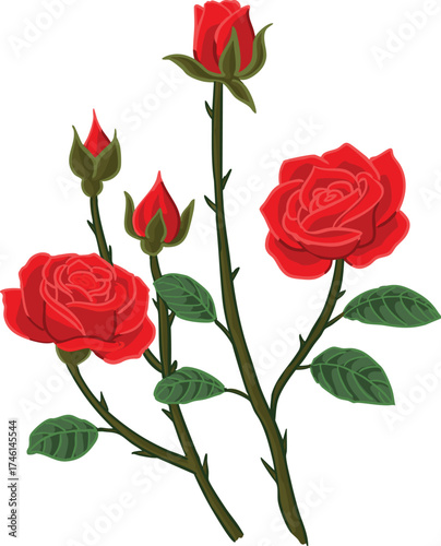 Rose Flower Adobe Illustrator Artwork