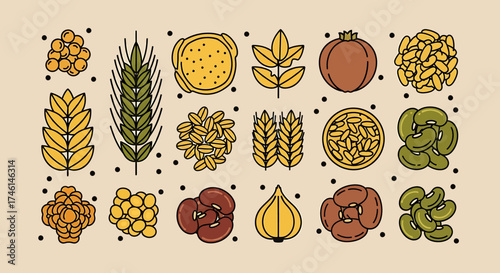 Colorful hand-drawn plant-based food items - grains, legumes, fruits, and vegetables with bold outlines.