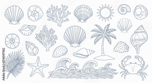 Detailed Hand-Drawn Coastal Collection - Seashells, Coral, Palm Tree, and Waves.