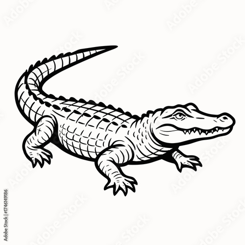 Black and white illustration of crocodile on light background  