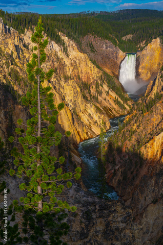 Yellowstone Falls 2