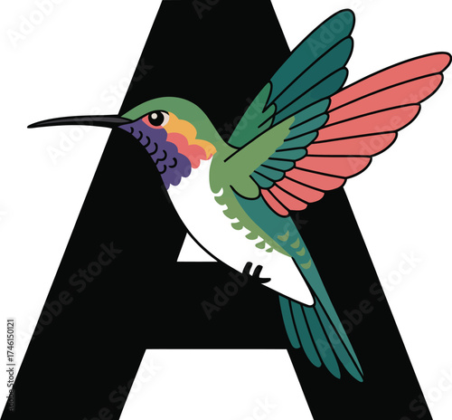 Black and white bird on a branch is a wildlife vector illustration showing a beak, wing, and feather detail of the animal in nature