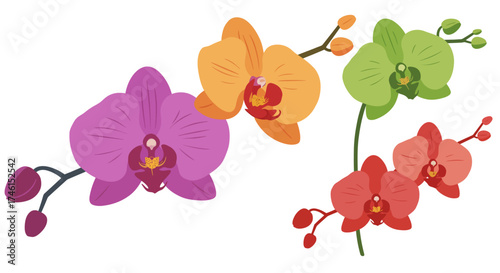 Colorful Vector Illustration of Various Orchid Flowers in Bloom