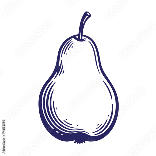 Elegant hand drawn illustration of a single pear in a vintage engraving style
