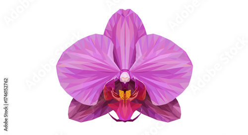 Geometric Orchid Blossom: Polygonal Design in Shades of Pink and Purple
