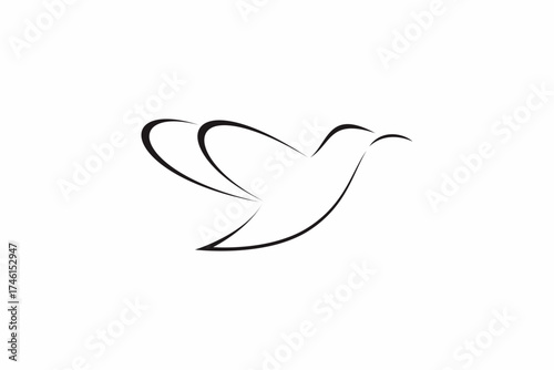 Bird Line