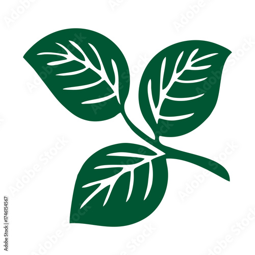 green leaf icon vector design