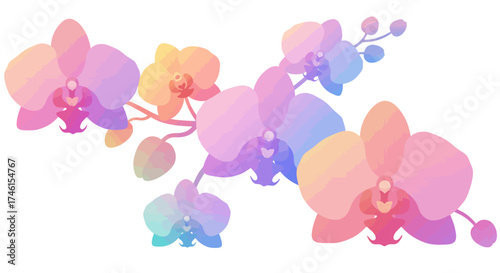 Watercolor Orchid Flowers with Gradient Colors and Delicate Petals