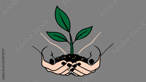 Hands Holding a Green Plant Sprout