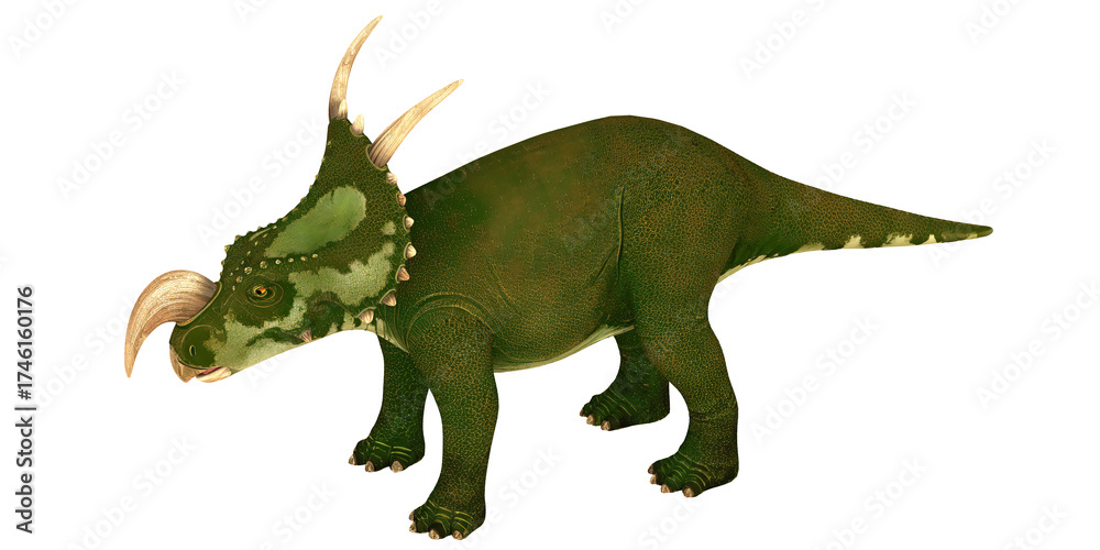 Fototapeta premium Green dinosaur with horns on white background.