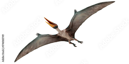 Realistic 3D rendering of a flying pterosaur.