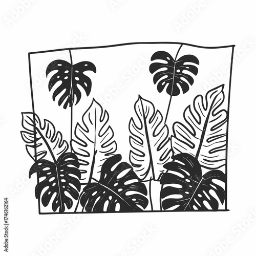 Monstera deliciosa leaves in a simple black outline frame with a white background