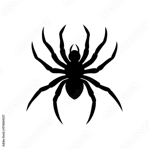 Silhouette spider arachnid on transparent background