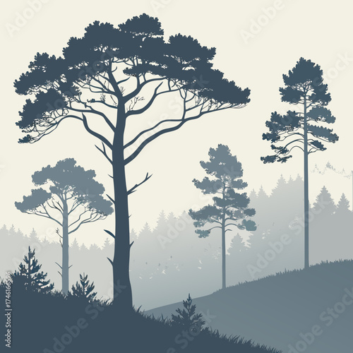Vector art of silhouette of a coniferous forest in a misty landscape serene nature scene with tall trees and a peaceful atmosphere in a minimalist style