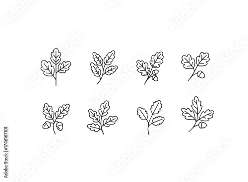 Set of eight handdrawn parsley leaves