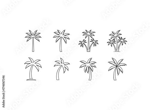 Various palm trees in different styles