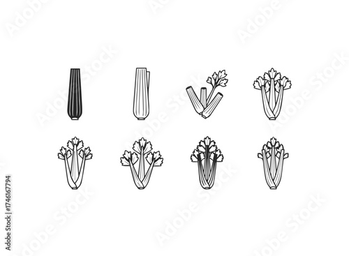 Collection of celery stalks and leaves